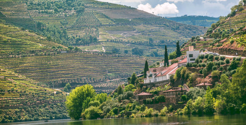 Port Wine: A Timeless Legacy from the Douro Valley to the World